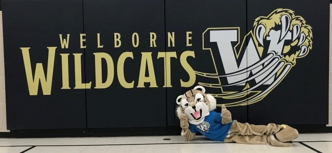 wildcat gym mats pic 650x300